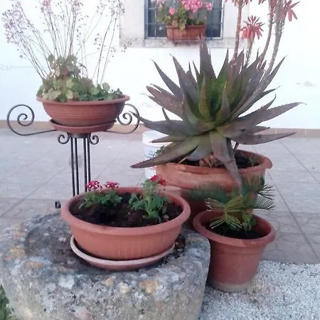 Trulli Sarmenzanello Apartment Noci Exterior photo