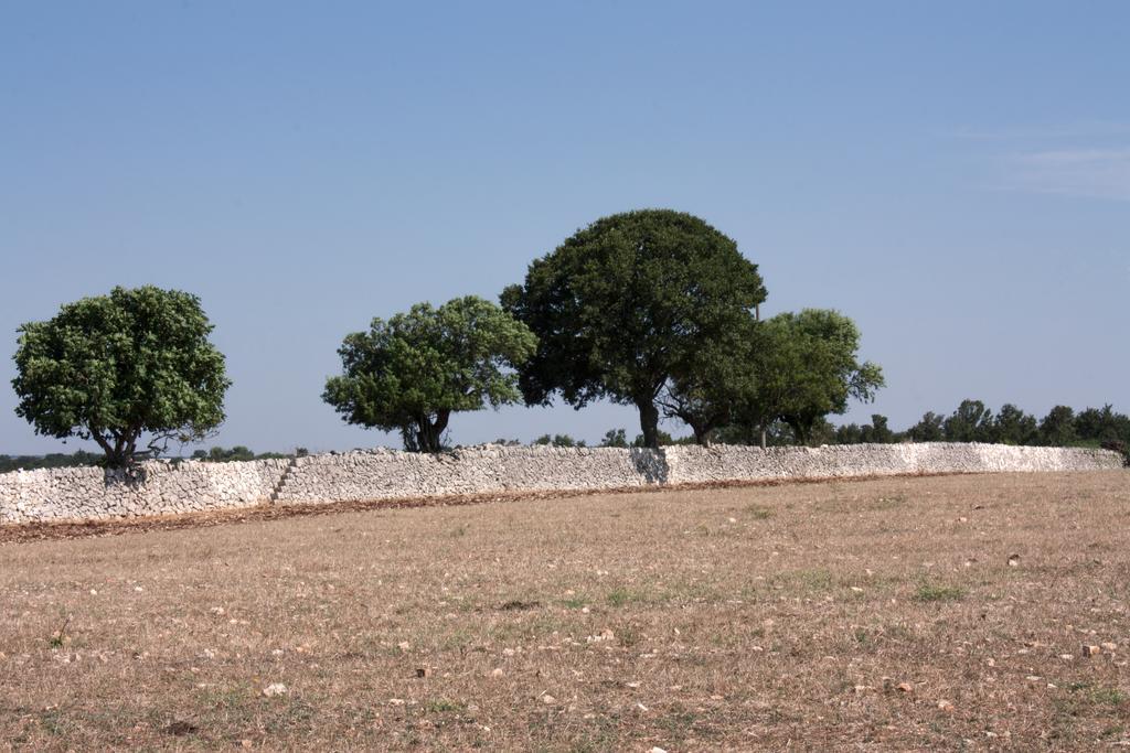 Apartment Trulli Sarmenzanello