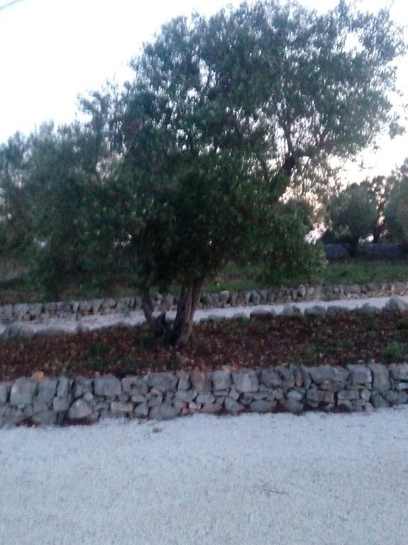 Apartment Trulli Sarmenzanello