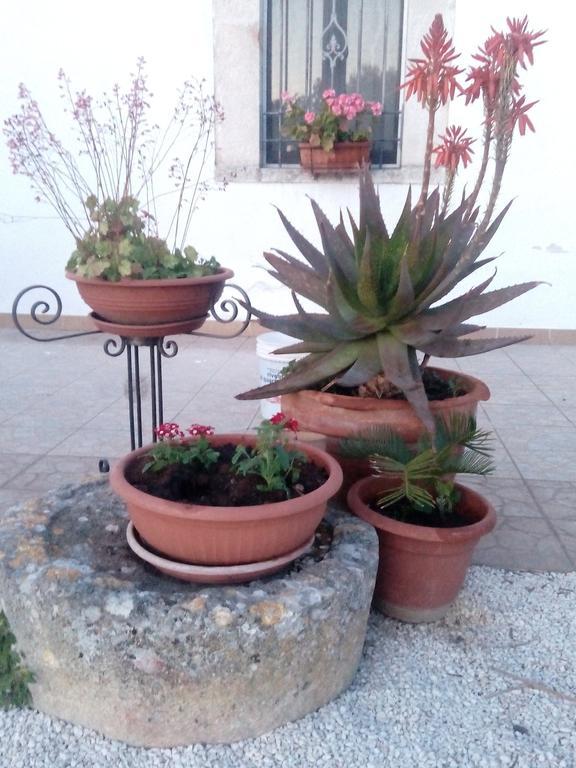 Apartment Trulli Sarmenzanello